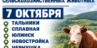 Важная информация для владельцев сельскохозяйственных животных. - Администрация Черемховского района