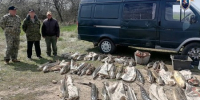 В Приморско-Ахтарском районе местные жители признаны виновными в незаконной добыче особо ценных видов рыб - Новая Газета Кубани
