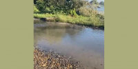 «Это экологическая катастрофа»: в станице Динской сточные воды льются прямо в реку - LiveKuban.Ru