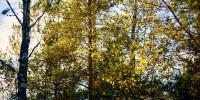 Картинка - Regions.Ru