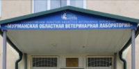 Мурманская областная ветеринарная лаборатория отпраздновала юбилей! - Комитет по ветеринарии