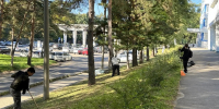 В Хабаровске подвели итоги месячника по санитарной уборке и благоустройству - Газета Хабаровские вести
