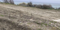 Владелец участка в Новороссийске снял плодородный слой на 4,4 млн. руб. - Газета Новороссийский рабочий
