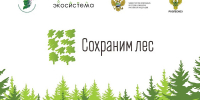 06.10.2026 | В Тверской области в рамках Всероссийской акции «Сохраним лес» высажено порядка 420 тысяч сеянцев хвойных пород - Главное управление по архивному делу