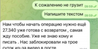 Мошенники выманивают деньги якобы на операцию изувеченной в Казани собаке Белке - ИА Татар-информ