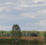 Численность хищников будут регулировать - Aromashevo.Online