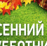 В Нижнеломовском районе состоится субботник - Нижнеломовский район