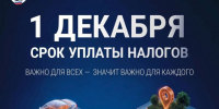 Налоговая служба информирует. - Пестовский район