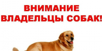 Ответственное отношение к питомцам: администрация округа напоминает владельцам собак о правилах выгула. - Юргамышский муниципальный округ