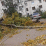 В Барнауле городские службы устраняют последствия непогоды - Администрация г. Барнаул
