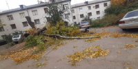 В Барнауле городские службы устраняют последствия непогоды - Администрация г. Барнаул