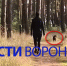 Питбуль без намордника набросился на мать с грудным ребёнком в Воронеже - ГТРК Воронеж