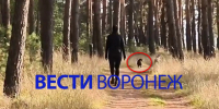 Питбуль без намордника набросился на мать с грудным ребёнком в Воронеже - ГТРК Воронеж
