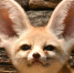w7nO-Hcy8dUl3UCckvuViGPTKXReezMB0PMe8qPZWXnne6kMOuMz08dmkFpIEDxFhSm-Fle7ldCkafFNOLthoEpn - ЗА Новомосковск