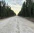 Фото предоставлено министерством транспорта Архангельской области - Газета Авангард