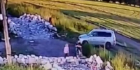 Убила кошку камнем: стали известны новые издевательства барнаульской живодерки, раздробившей череп собаке - Barneos22.ru