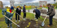 Осенью в Петербурге высадят 4,5 тысячи деревьев - Санкт-Петербург.ру