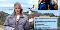 Десятиклассница из Анапы стала победительницей Международного детского экофорума в номинации «экоблогер» - Газета Анапское Черноморье