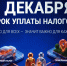1 ДЕКАБРЯ СРОК УПЛАТЫ НАЛОГОВ. - Приморский муниципальный округ