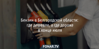 Бензин в Белгородской области. Что изменилось с ценами к концу июля? - Fonar.Tv