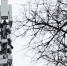 Мишустин призвал ускорить переход на 5G - ИА Хакасия