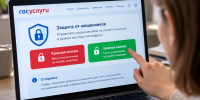 На госуслугах появится «зеленая кнопка» - Newsler.Ru
