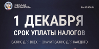 1 декабря срок уплаты налогов - Министерство имущественных отношений
