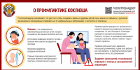 Коклюш – это острая инфекция дыхательных путей - News-HM.Ru