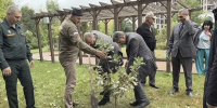 В Кисловодске посадили дуб в память о героях Битвы за Кавказ - Комсомольская Правда