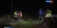 В селе Калы медведь задрал быка - Вести Хакасия