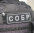 В Карелии росгвардейцы оказали содействие следователям в задержании подозреваемой в покушении на убийство - Росгвардия