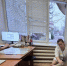 В Балаково пенсионерку искусал алабай - Общественное мнение