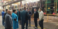 Региональный центр компетенций Курганской области успешно прошёл первую сертификацию - Новый мир