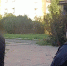 За преступление против малолетней: в Пензе задержан 35-летний местный житель - Progorod58.Ru