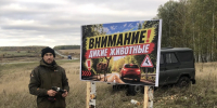 Безопасность на дорогах: на трассах Зауралья установлены предупреждающие знаки о миграции диких животных - Управление охотничьего хозяйства