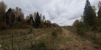 Картинка - Regions.Ru
