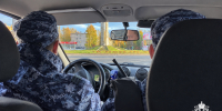 В Республике Коми росгвардейцы пресекли серию правонарушений в общественных местах - Росгвардия