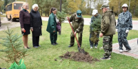 Юннаты в хрустальном городе: как в Дятьково выросла новая аллея памяти - Пламя Труда