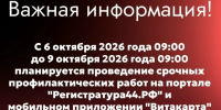 Костромичи временно не смогут записаться к врачам через «Регистратуру44» и «Виткарту» - Комсомольская Правда