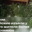 JPG Файл - МВД России по Запорожской области