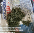 JPG Файл - МВД России по Запорожской области