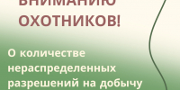 О количестве нераспределенных разрешений на добычу охотничьих ресурсов в общедоступных охотничьих угодьях Хабаровского края - Управление охотничьего хозяйства