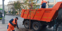 Главная улица в Курске станет еще зеленее - Городские Известия
