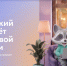 Новгородцев приглашают пройти онлайн-зачёт по финансовой грамотности - ИА Великий Новгород.ру