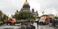 Сад-трансформер на Синем мосту отправляется на зимовку - Metro Петербург