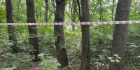 В Баймакском районе Башкирии отменили ограничения по бешенству - Комсомольская правда