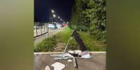 В Новой Усмани под Воронежем вандалы сломали ростовые фигуры школьников у пешеходных переходов - РИА Воронеж