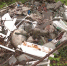 Под Асбестом подрядчик снёс аварийное жильё и оставил обломки в поселке - ГТРК Урал