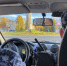 В Коми задержали троих граждан за серию правонарушений в досуговых заведениях - Pg11.Ru