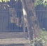 7a439791-d5ba-4758-89b3-f95e51fd3463.jpg - Панорама